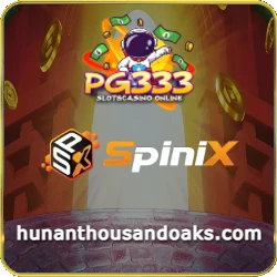 pg333 slot online